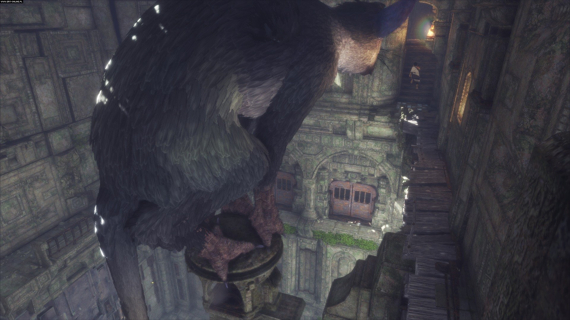 Последний страж 3. The last Guardian. The last Guardian ps4. The last Guardian Скриншоты ps4. Долина the last Guardian.