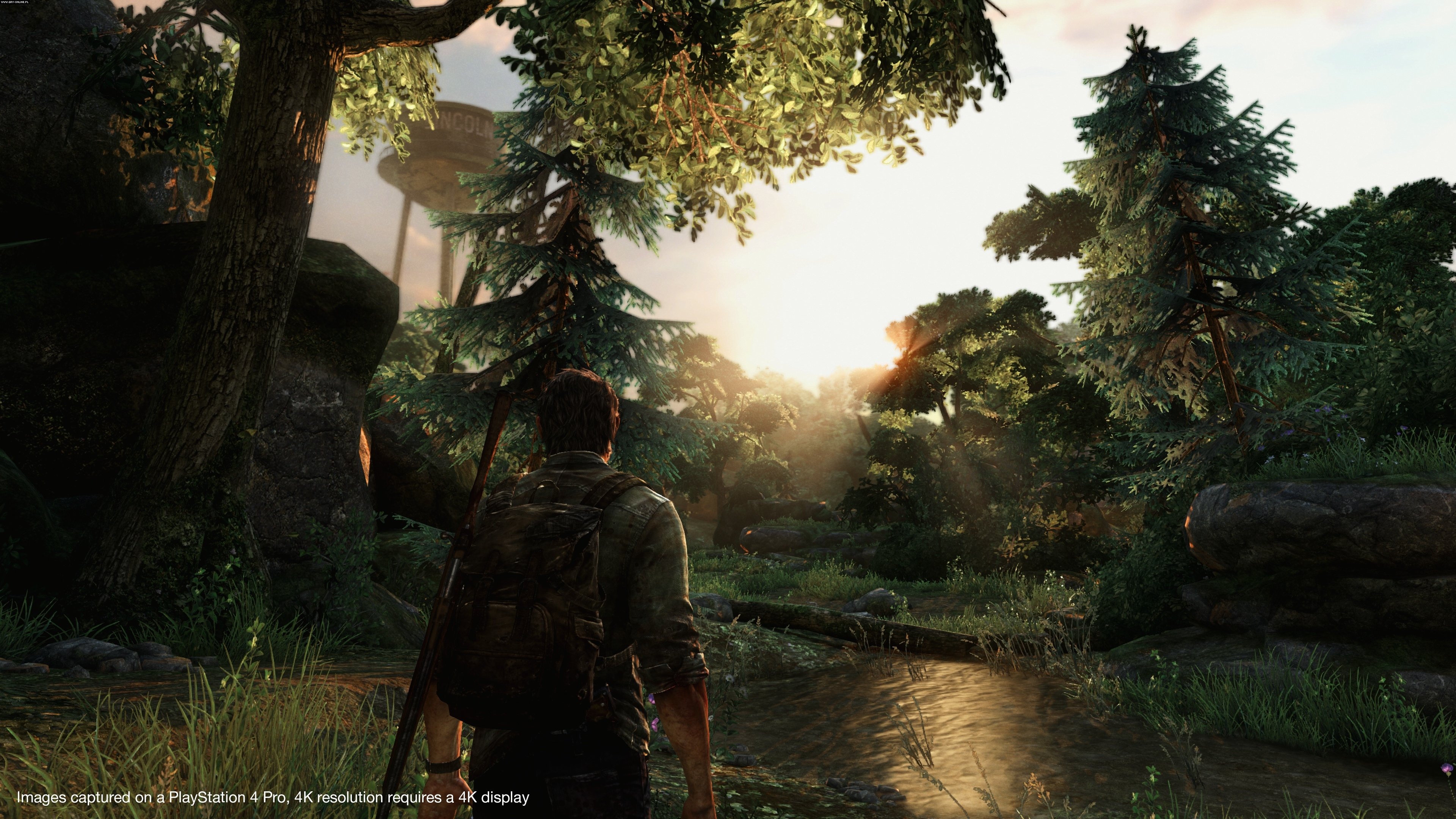 The Last Of Us Screenshots Gallery Screenshot 1201