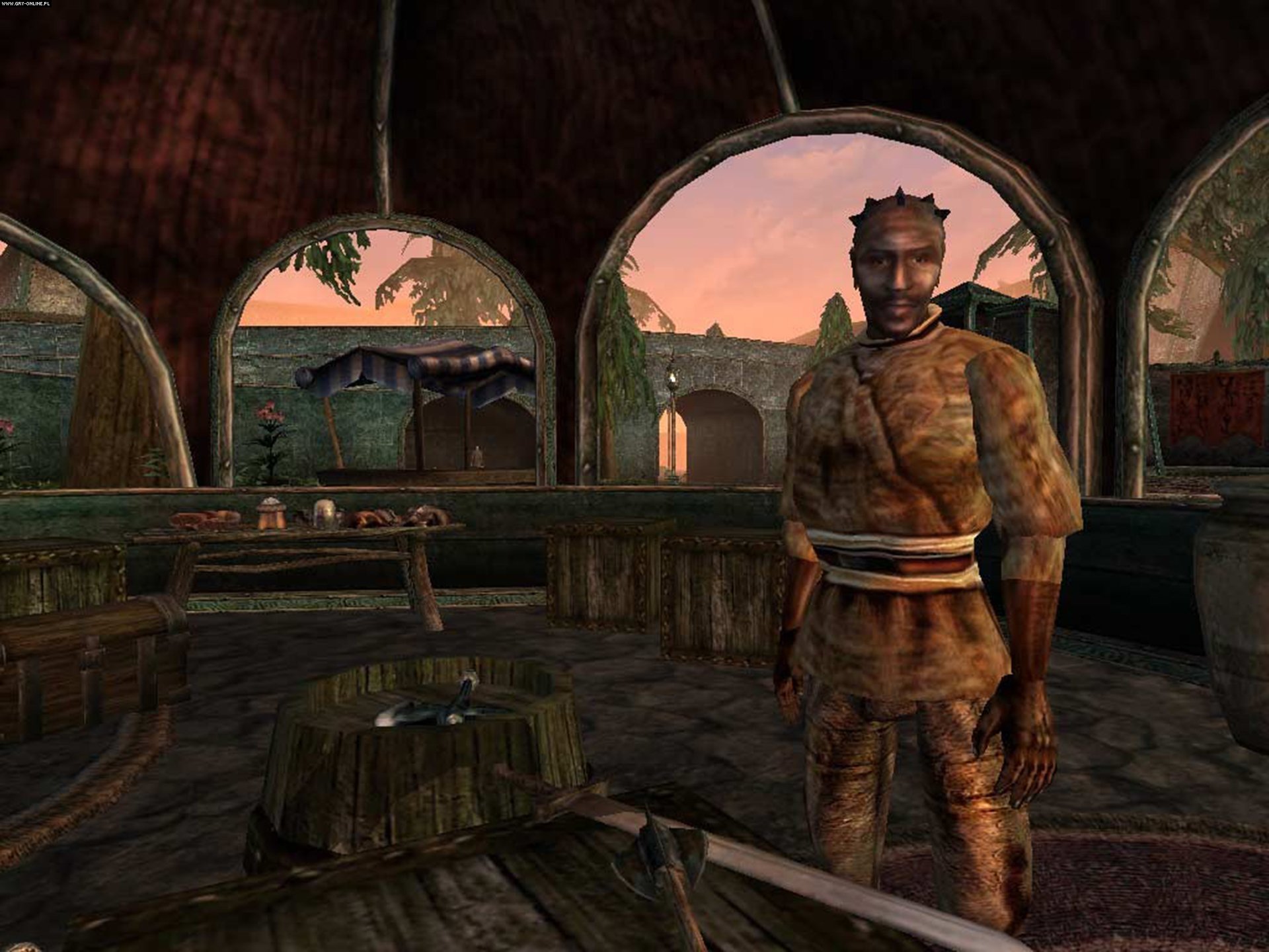 Древние свитки игра. Игра the Elder Scrolls 3. The Elder Scrolls 3 Morrowind. Игра the Elder Scrolls 3 Tribunal. The Elder Scrolls 3 Morrowind Скриншоты.