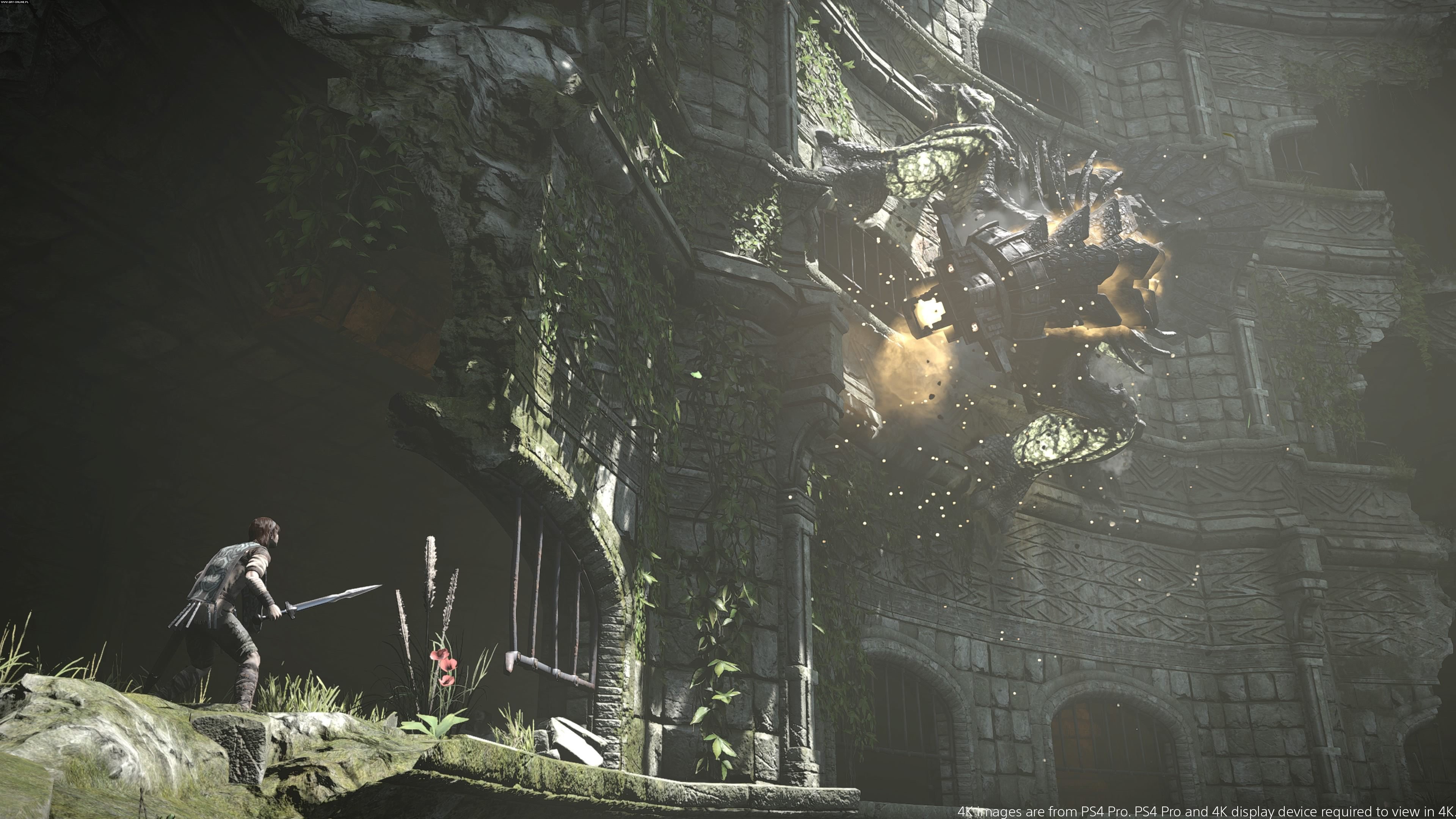 Shadow Of The Colossus Screenshots Gallery Screenshot 732