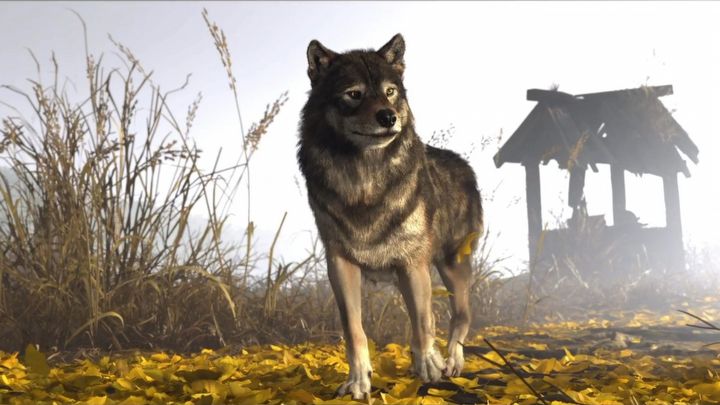 1 - Ghost of Yotei: Wszystkie wilcze jamy - Ghost of Yotei - poradnik do gry