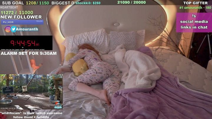 Amouranth zarabia lepiej niż większość ludzi nawet śpiąc na streamie - ilustracja #1