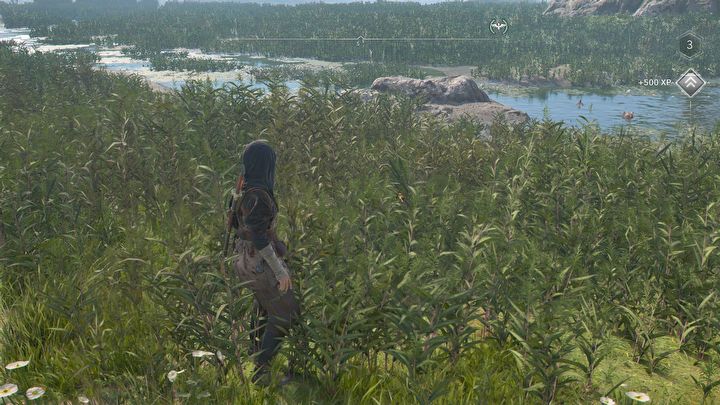 1 - AC Shadows: Dać czy zatrzymać manifest? - Assassins Creed Shadows - poradnik do gry