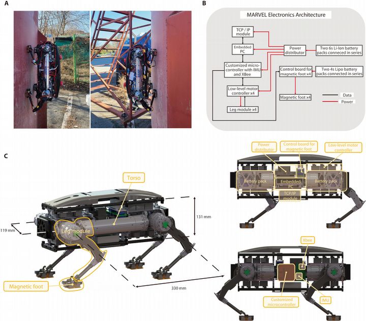 Naukowcy stworzyli magnetycznego robota do zadań specjalnych - ilustracja #1