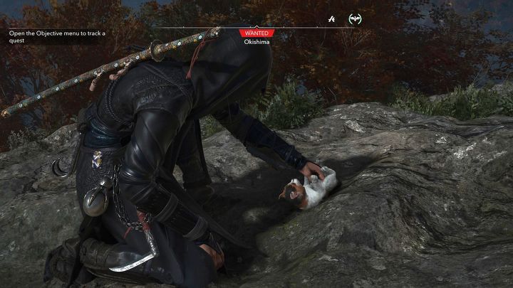 3 - Assassins Creed Shadows: Gdzie jest kocia wyspa Okishima? - Assassins Creed Shadows - poradnik do gry