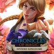 game Chronicles of Magic: Podzielone Królestwa