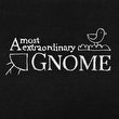 game A Most Extraordinary Gnome