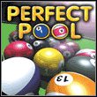 game Perfect Pool