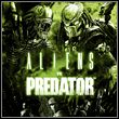 game Aliens vs Predator