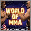 game World of Mixed Martial Arts