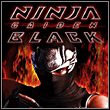 game Ninja Gaiden Black