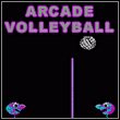 game Arcade Volleyball