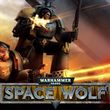 Warhammer 40,000: Space Wolf