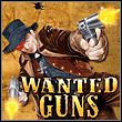 Wanted Guns