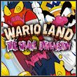 game Wario Land: Shake It!