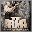 game ArmA II: Reinforcements