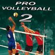 game Pro Volleyball 2