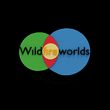 game Wildfire Worlds