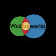 game Wildfire Worlds