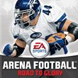 game Arena Football: Road to Glory