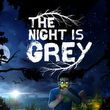 game The Night Is Grey