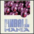 game Pinball Mania