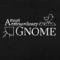 A Most Extraordinary Gnome