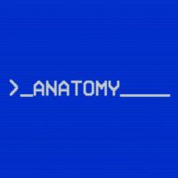 Anatomy