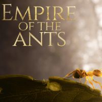 Empire of the Ants