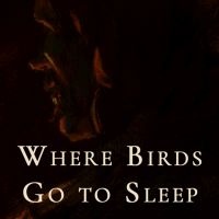 Where Birds Go to Sleep