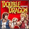Double Dragon Advance