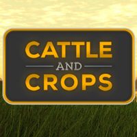 Professional Farmer: Cattle and Crops