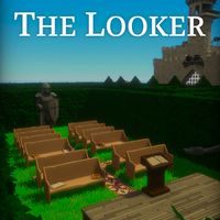 The Looker