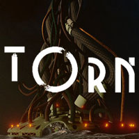Torn