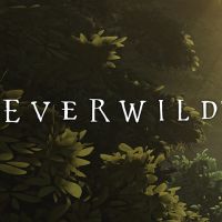 Everwild