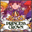 Princess Crown