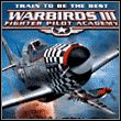 WarBirds III