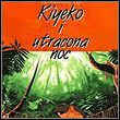 Kiyeko and the Lost Night: A Magical Adventure in the Amazon Rain Forest