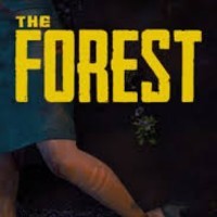 The Forest