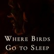 game Where Birds Go to Sleep