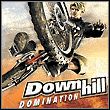 game Downhill Domination