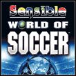 game Sensible World of Soccer (2007)