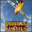game Down in Flames