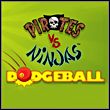 game Pirates vs. Ninjas Dodgeball