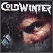 game Cold Winter