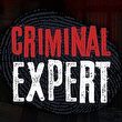 game Criminal Expert