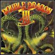 game Double Dragon III: The Rosetta Stone