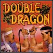 game Double Dragon
