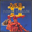 game Double Dragon II: The Revenge