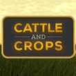 game Professional Farmer: Cattle and Crops